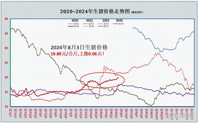 多地猪价已突破20元/公斤！但北方猪价“盛极而衰”？啥情况？