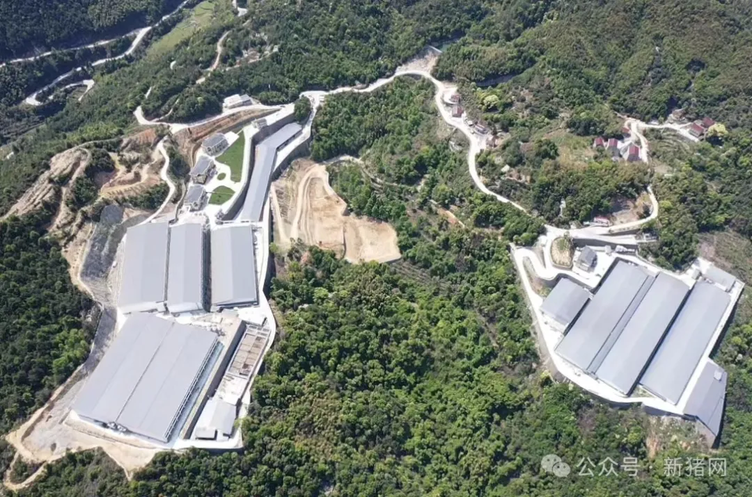瓯南养殖基地航拍图