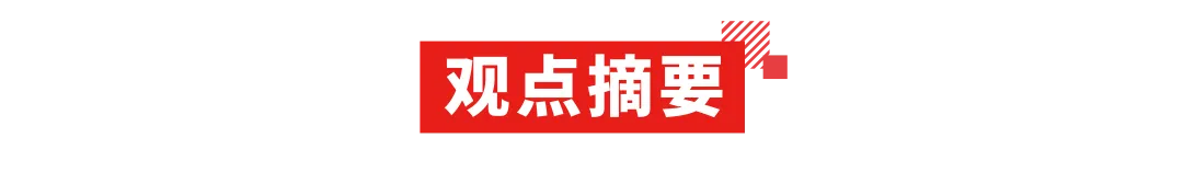 观点摘要