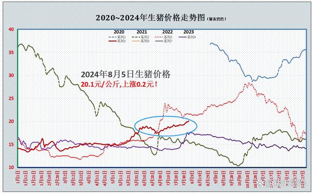 走势图