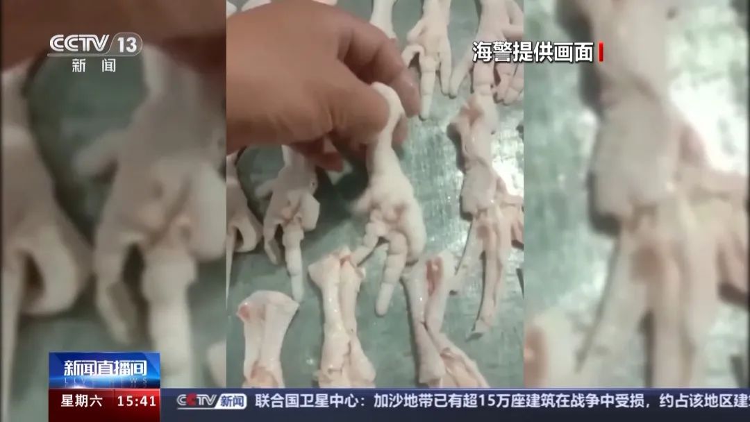 鸡爪
