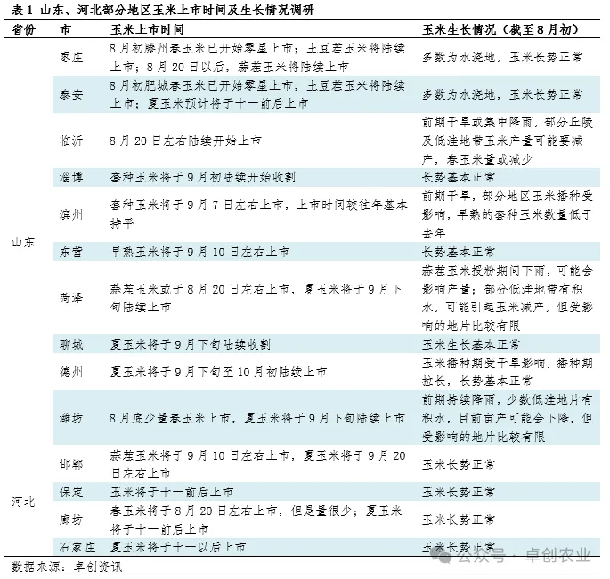 玉米生长调研
