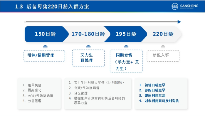后备母猪220龄入群方案