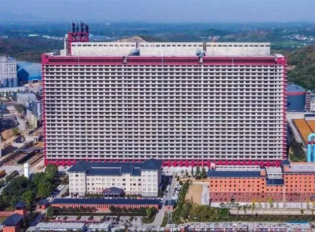中新开维现代牧业楼房猪场