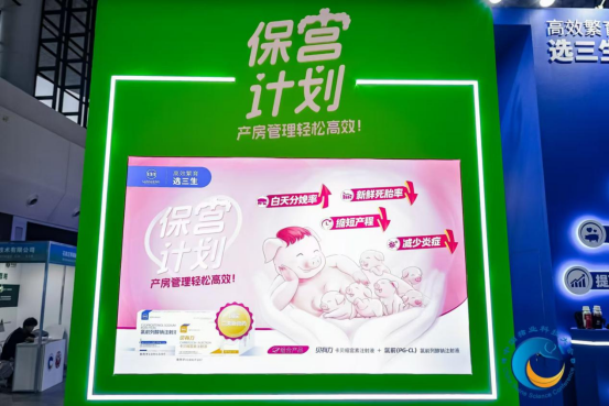 保宫计划