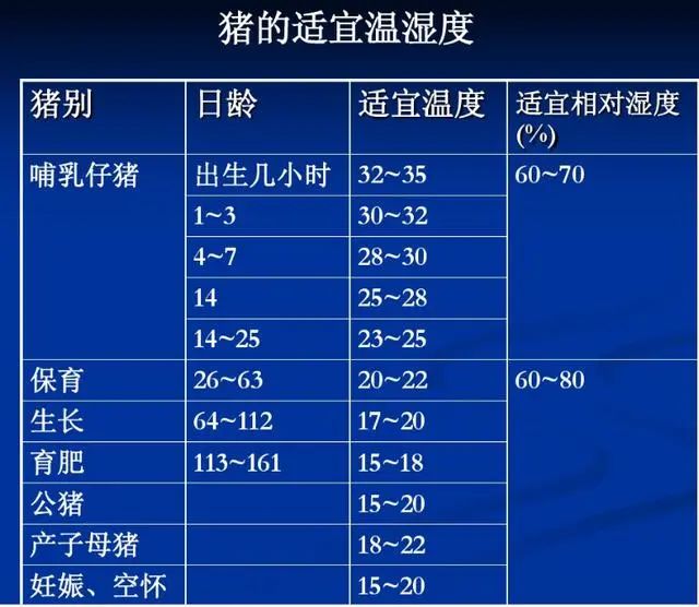 育肥猪死亡率高怎么办？资深兽医分享了几招方法