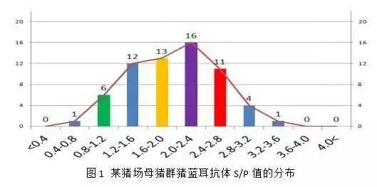 猪蓝耳病是非洲猪瘟的"帮凶"么？蓝耳病疫苗使用时应注意哪些？