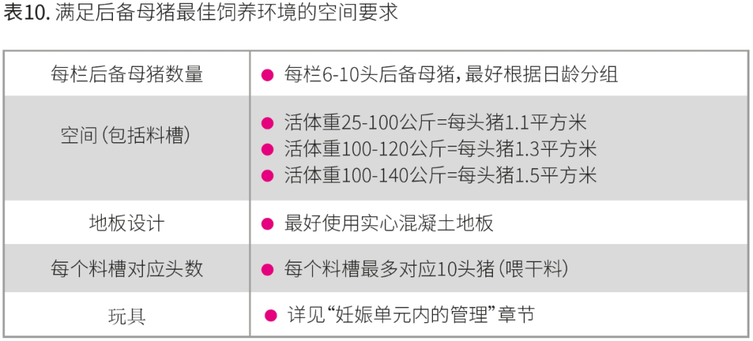 满足后备母猪最佳饲养环境的空间需求