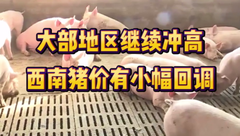 8月10日生猪价格：猪价继续冲高，局地二育入手积极，市场看涨情绪不减！