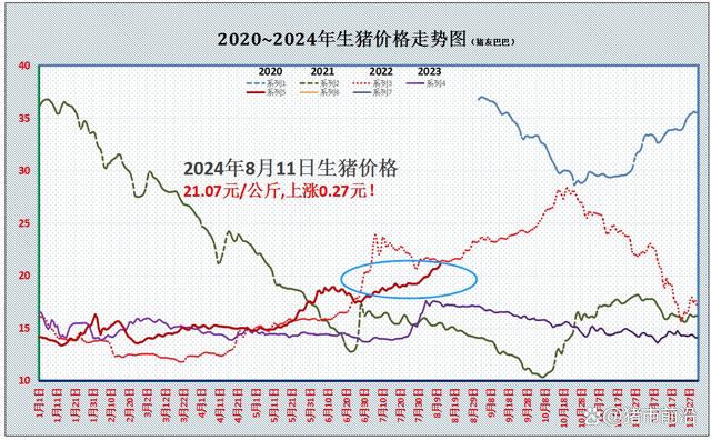 从机构数据分析，截止8月11日，全国外三元生猪报价涨至21.07元/公斤，一夜疯涨，猪价涨得“一塌糊涂”，单日反弹0.27元，全国生猪均价涨破21元/公斤，国内市场呈现全线上涨的走势