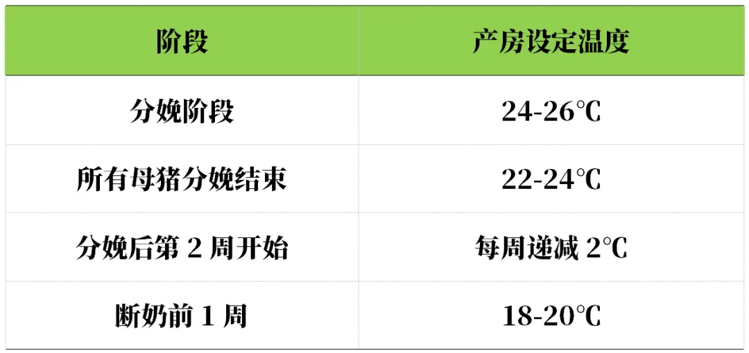 根据产房母猪不同阶段调节温湿度