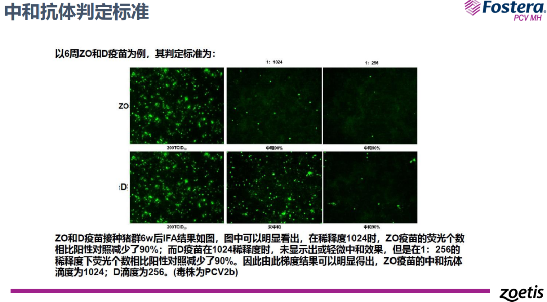 中和抗体判定标准