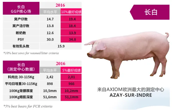 长白