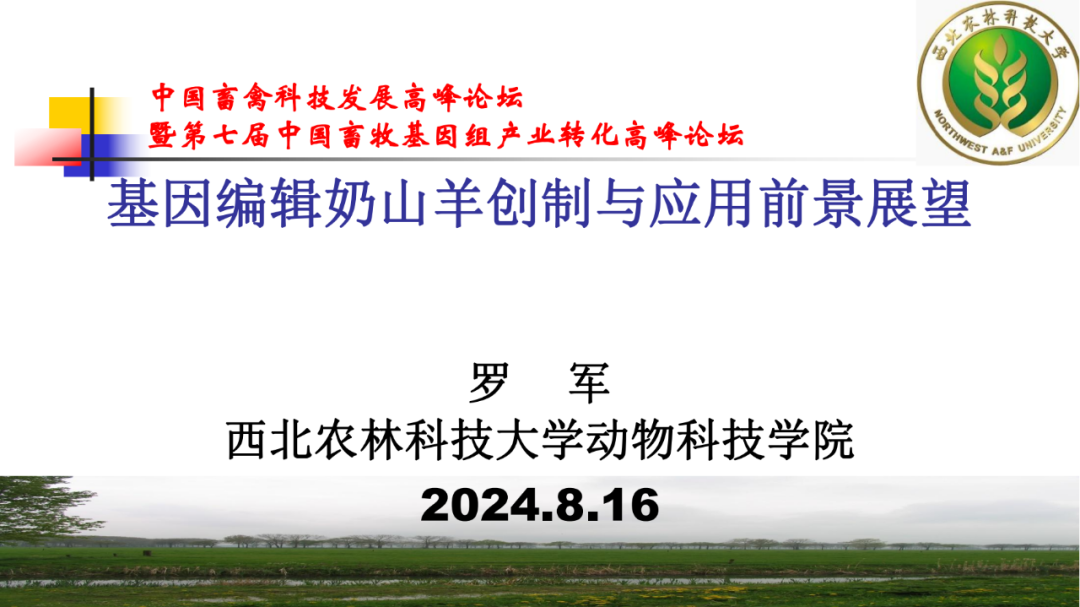 西北农林科技大学罗军教授作题为《基因编辑奶山羊创制与应用前景展望》的报告