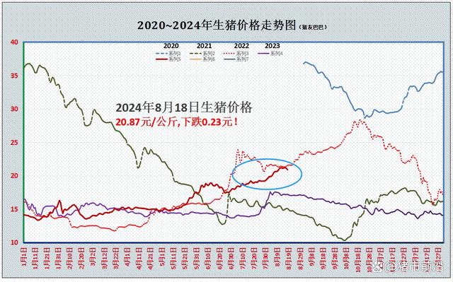 猪价一夜“跳水”，全国下跌“一片绿”！啥情况？