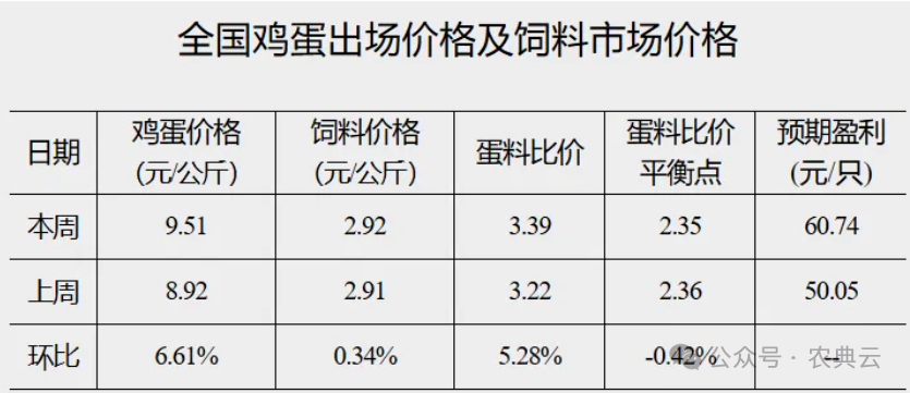 鸡蛋价格