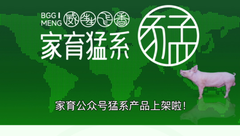 足不出户也能选猪？家育猛系产品数字化选猪功能上线，猪只性能数据一目了然，货真价实！