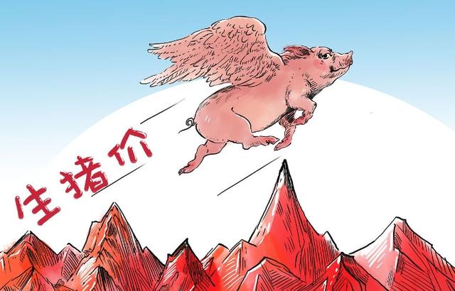 生猪市场“风云突变”，猪价进入“过山车”的走势……