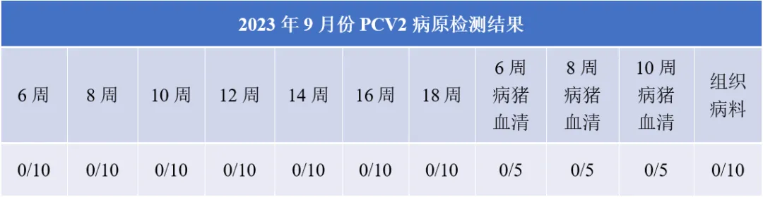 2023年9月PCV2病原检测结果