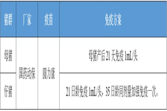 圆力康—规模化猪场防控猪圆环病毒病的最优选择！