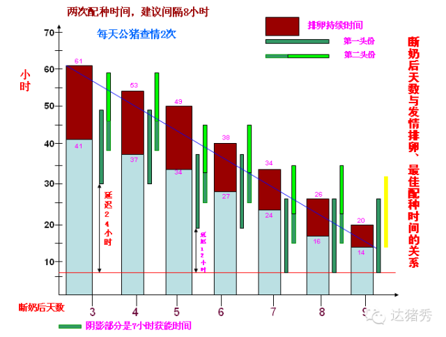 母猪繁殖管理数据，你知道多少？赶紧收藏