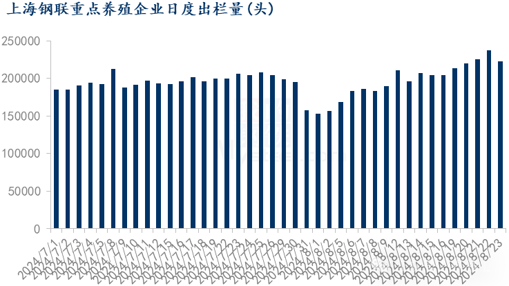 多地猪价跌破10元关口！后市行情将如何发展？