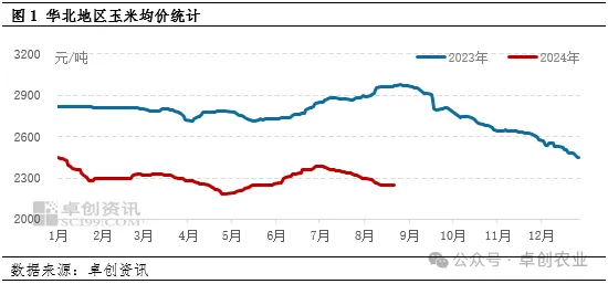 华北玉米行情