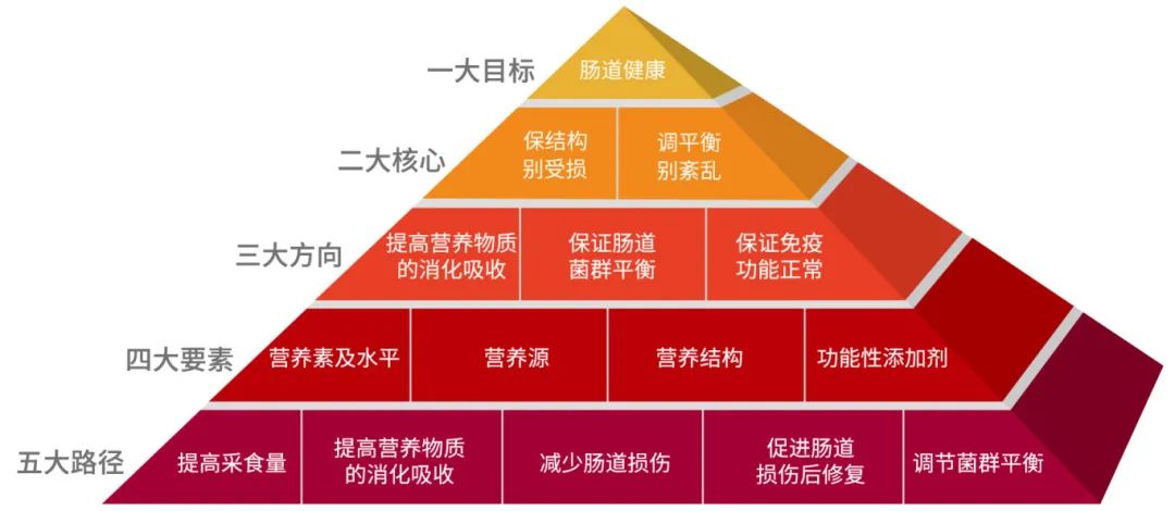 “12345”猪肠道健康策略