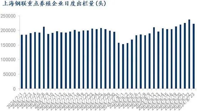 生猪出栏量