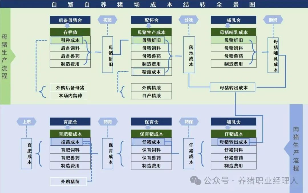 母猪场生产流程与育肥场生产流程之间的关系