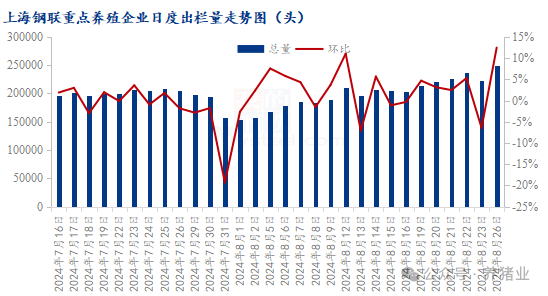 市场供大于求，猪价突然快速下滑！后市怎么走？