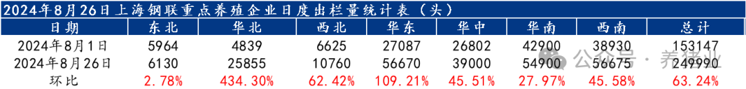 市场供大于求，猪价突然快速下滑！后市怎么走？