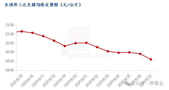 市场供大于求，猪价突然快速下滑！后市怎么走？