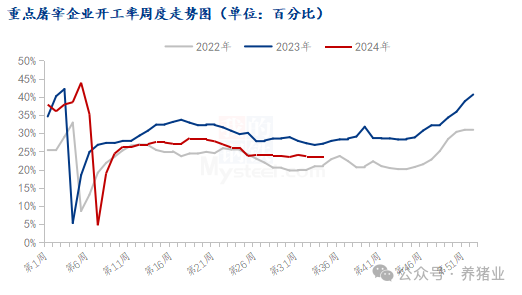 市场供大于求，猪价突然快速下滑！后市怎么走？