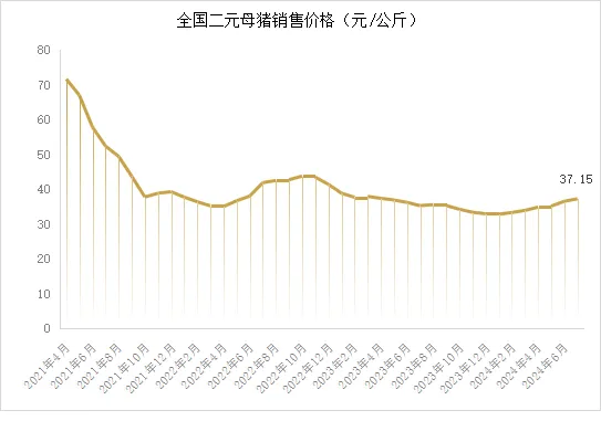 母猪行情