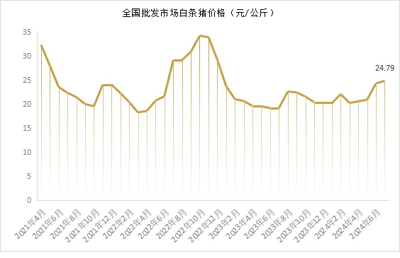 白条猪价格