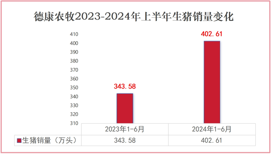 又一养猪巨头崛起：半年出栏生猪402.61万头，盈利3.63亿元！