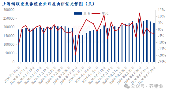 8月末猪价反弹，市场博弈激烈！9月价格怎么走？