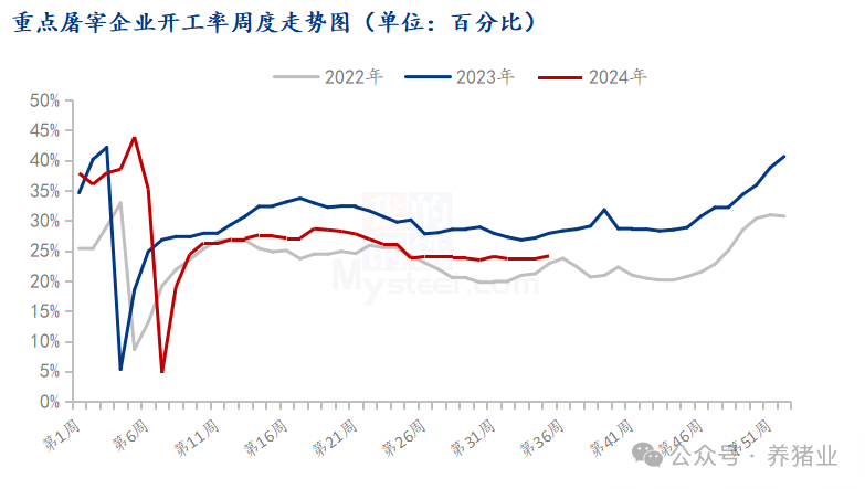 8月末猪价反弹，市场博弈激烈！9月价格怎么走？