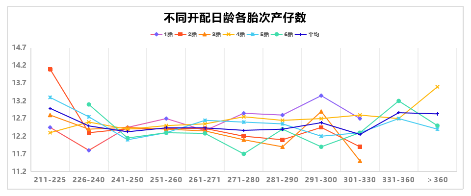 不同开配日龄各胎次产仔数