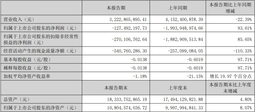 正邦半年报