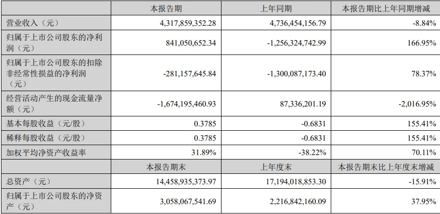 天邦半年报