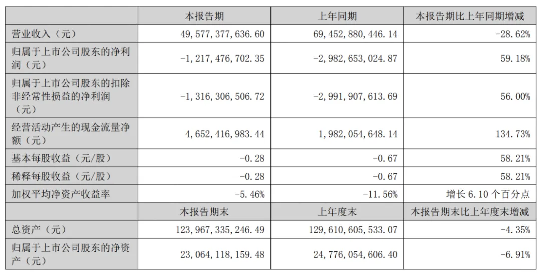 新希望半年报