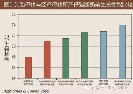 头胎母猪与经产母猪所产仔猪断奶前生产性能对比