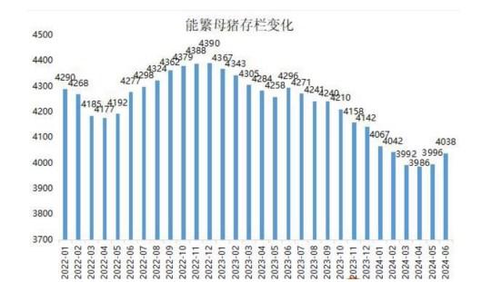 能繁母猪存栏