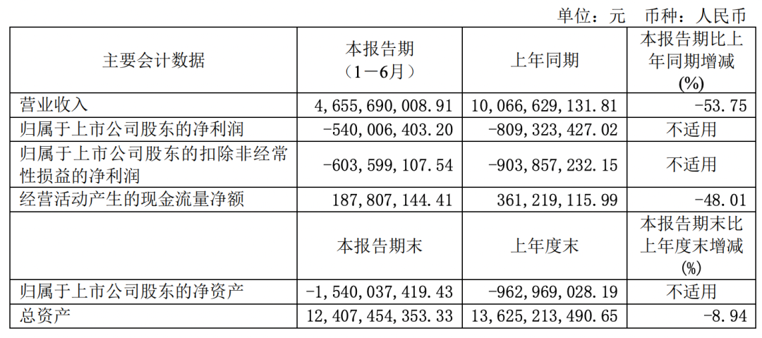 傲农发布2024半年报