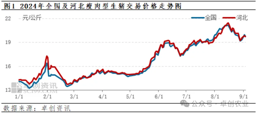 河北猪价走势图