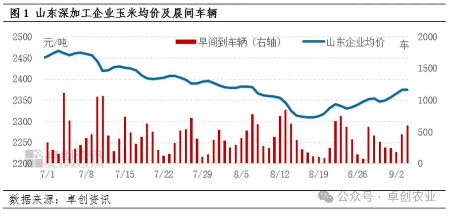 山东深加工企业玉米价格