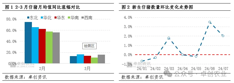 新生仔猪数量