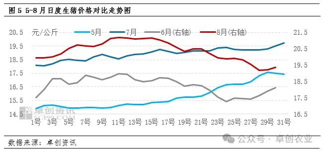 9月猪价到底怎么走？从新生仔猪、屠宰量、二次育肥等多方面全面分析